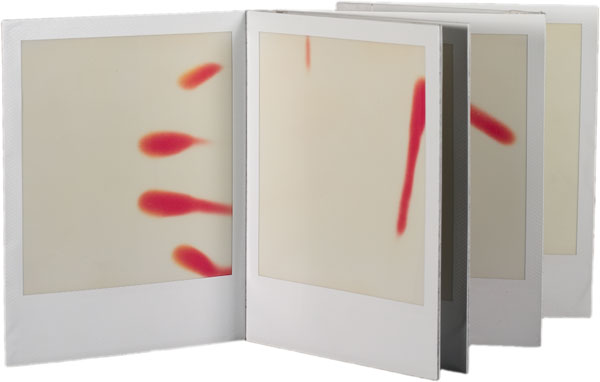 maria bonn artist books