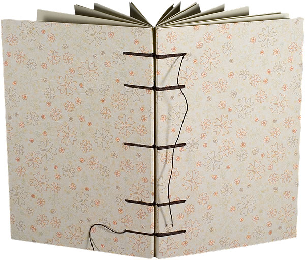 maria bonn artist books