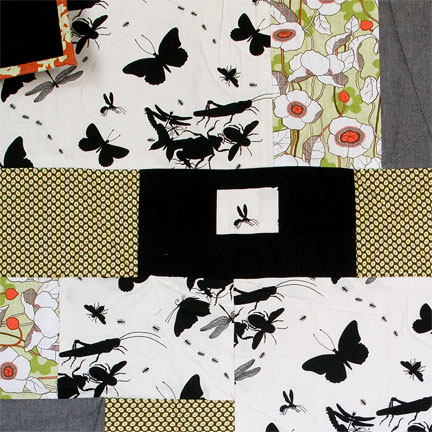 maria bonn functional