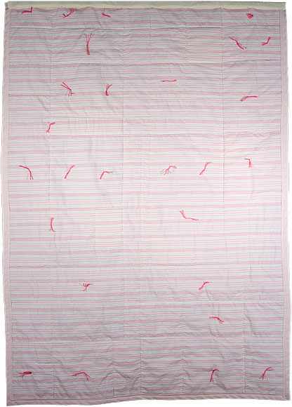 maria bonn functional