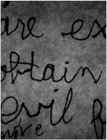 maria bonn pro polaroid