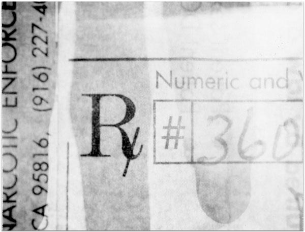 maria bonn pro polaroid