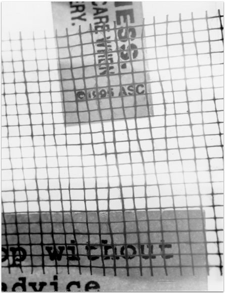 maria bonn pro polaroid