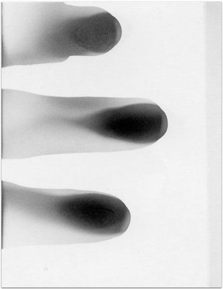 maria bonn pro polaroid