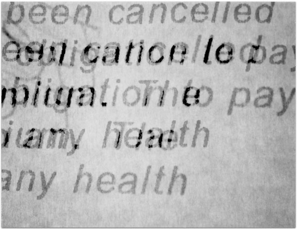 maria bonn pro polaroid