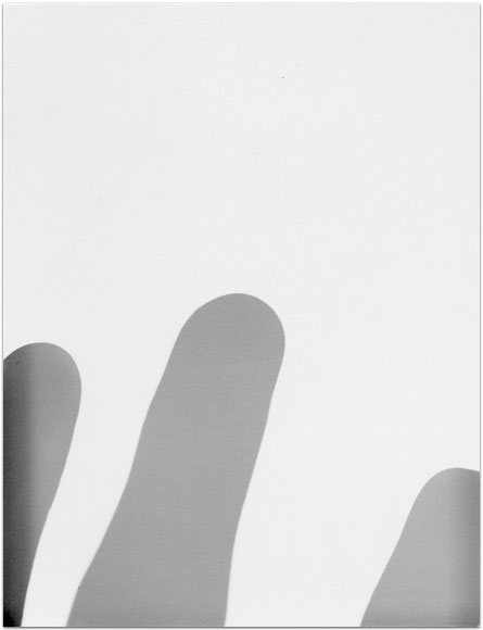 maria bonn pro polaroid