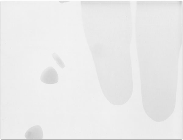 maria bonn pro polaroid