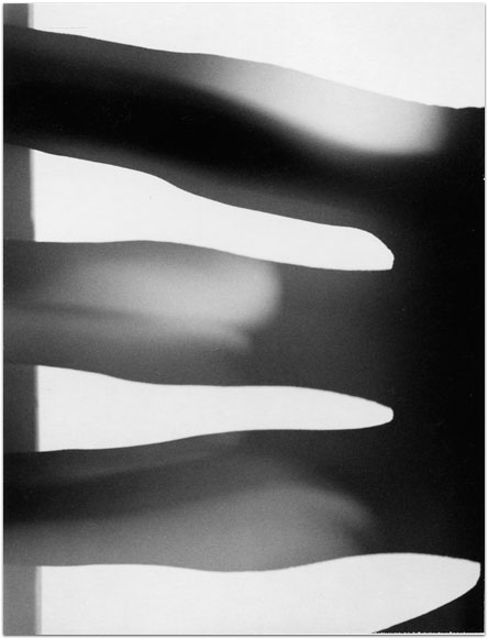 maria bonn pro polaroid