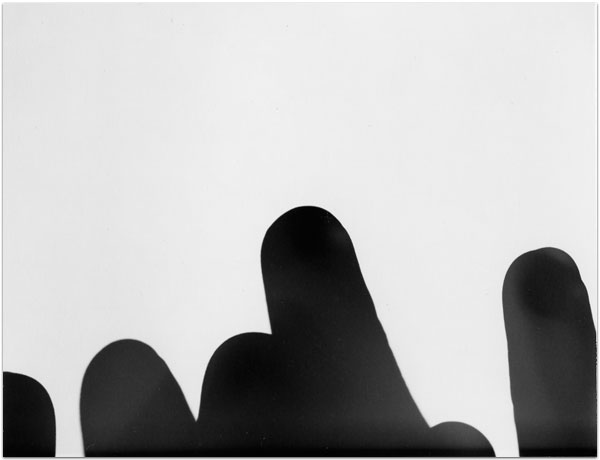 maria bonn pro polaroid