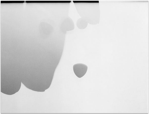 maria bonn pro polaroid