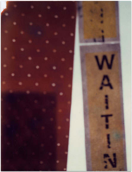 maria bonn pro polaroid