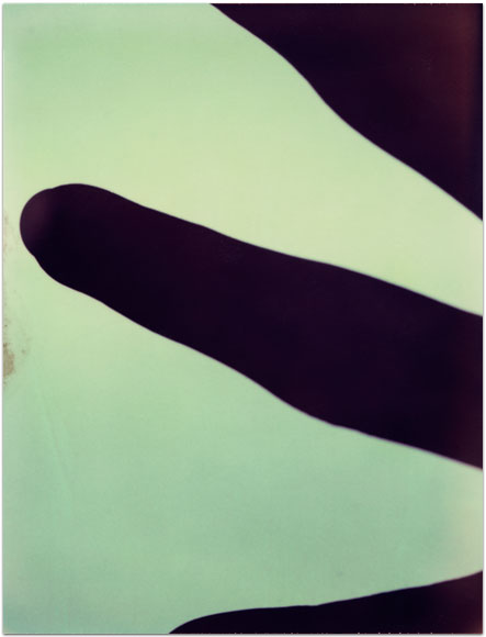 maria bonn pro polaroid