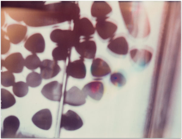 maria bonn pro polaroid