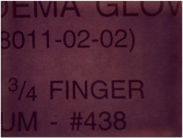 maria bonn pro polaroid