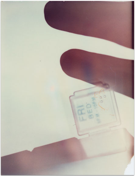 maria bonn pro polaroid