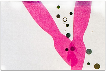 maria bonn postcards