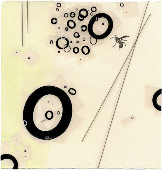 maria bonn recent dreams